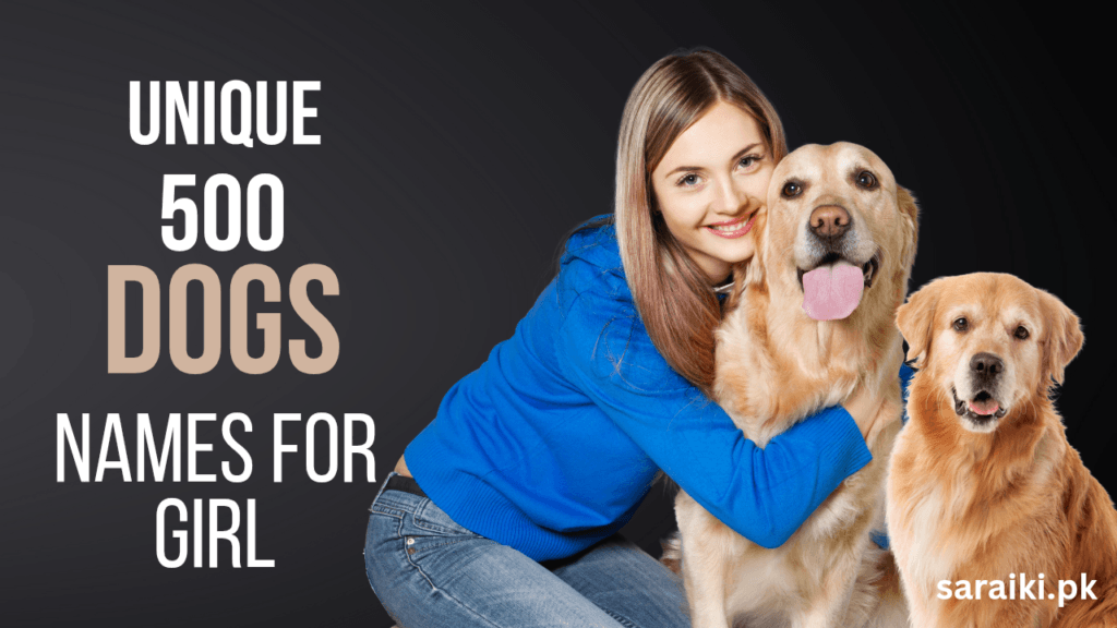 500 Unique Girl Dog Names | Cute, Stylish & Rare Female Puppy Names