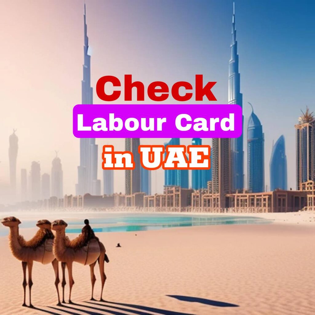 How to Check Labour Card Number in UAE