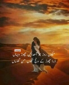 Best Saraiki Poetry Ghazal Text | Mekn Roz Jo Ahdin Chor Wesan