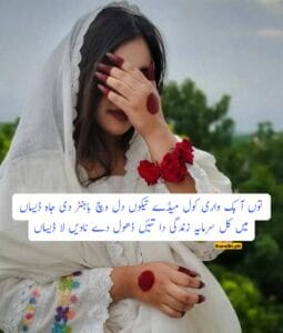 Saraiki Love Poetry Text & Images | Main Kull Sarmaya Zindagi Da