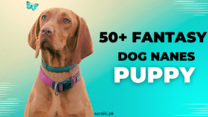 50+ Fantasy Best Dog Names: Magical, Epic, and Perfect for Your Pup