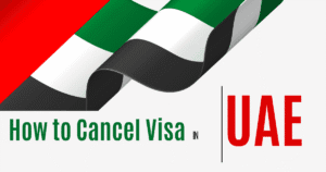 UAE – How to Cancel Visa from MOHRE Without Company (Step-by-Step Guide)
